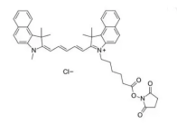 Cy5.5 NHS；1469277-96-0；CY5.5琥珀酰亚胺脂