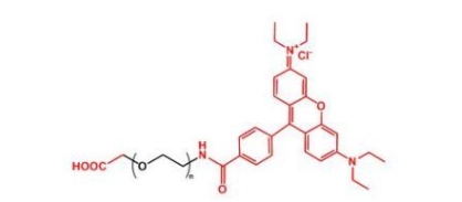 NHS-PEG-Rhodamine Rhodamine-PEG-NHS  活性酯聚乙二醇罗丹明 