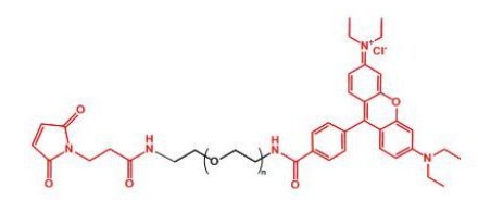 罗丹明聚乙二醇马来酰亚胺  Rhodamine-PEG-MAL