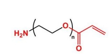 AC-PEG-NH2 NH2-PEG-Acrylate  氨基聚乙二醇丙烯酸酯