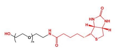  HO-PEG-Biotin Biotin-PEG-OH  羟基聚乙二醇生物素