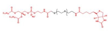 DSPE-PEG-Biotin Biotin-PEG-DSPE  磷脂聚乙二醇生物素