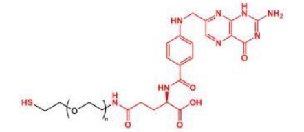  SH-PEG-FA SH-PEG-Folate 叶酸聚乙二醇巯基