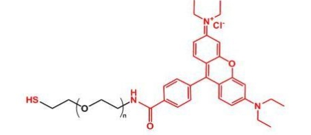  SH-PEG-Rhodamine RB-PEG-SH  罗丹明聚乙二醇巯基