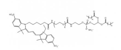 DSPE-PEG-Cy3  Cy3-聚乙二醇-二硬脂酰基磷脂酰乙醇胺