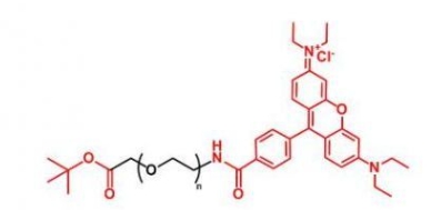 RB-PEG-COOtBu  罗丹明聚乙二醇叔丁酯
