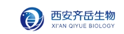 Biotin-PEG-Alkyne  生物素-聚乙二醇-炔烃