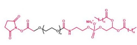 DSPE-PEG-NHS NHS-PEG-DSPE  磷脂聚乙二醇活性酯