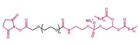 DSPE-PEG-NHS NHS-PEG-DSPE  磷脂聚乙二醇活性酯