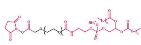 DSPE-PEG-NHS NHS-PEG-DSPE  磷脂聚乙二醇活性酯