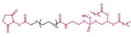 DSPE-PEG-NHS NHS-PEG-DSPE  磷脂聚乙二醇活性酯