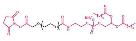 DSPE-PEG-NHS NHS-PEG-DSPE  磷脂聚乙二醇活性酯