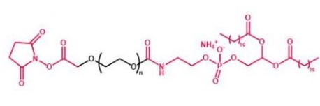 DSPE-PEG-NHS NHS-PEG-DSPE  磷脂聚乙二醇活性酯