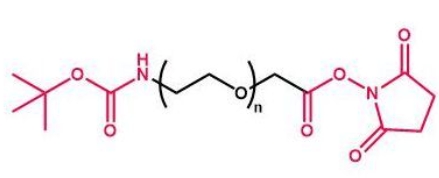 tBoc-NH-PEG-NHS NHS-PEG-Boc  叔丁氧羰基聚乙二醇活性酯