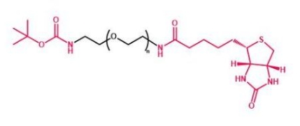 Boc-NH-PEG-Biotin 叔丁氧羰基聚乙二醇生物素