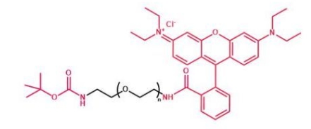 Boc-NH-PEG-RB Boc-NH-PEG-Rhodamine B 叔丁氧羰基聚乙二醇罗丹明