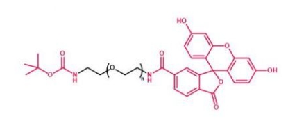 Boc-NH-PEG-FITC 叔丁氧羰基聚乙二醇荧光素