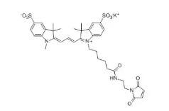 sulfo-cy3-maleimide；1656990-68-9；水溶性三甲川花菁染料标记马来酰亚胺