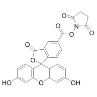 FITC-NHS(5-FAM SE  92557-80-7）；5-羧基荧光素琥珀酰亚胺酯 