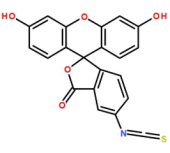 FITC（异硫氰酸荧光素）； 5-FITC；Fluorescein isothiocyanate isomer 