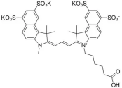 Sulfo CY3.5 COOH，（水溶CY3.5-羧基），磺酸基花青素CY3.5羧基