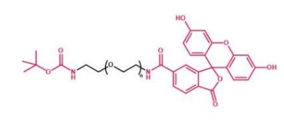 Boc-NH-PEG-FITC 叔丁氧羰基聚乙二醇荧光素