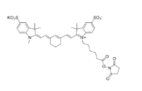 Sulfo-Cy7 NHS ester；1603861-95-5；磺酸基CY7 琥珀酰亚胺酯