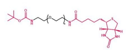 Boc-NH-PEG-Biotin 叔丁氧羰基聚乙二醇生物素 