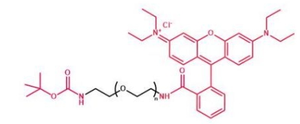 Boc-NH-PEG-RB Boc-NH-PEG-Rhodamine B  叔丁氧羰基聚乙二醇罗丹明