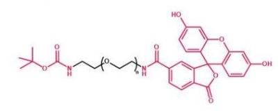 Boc-NH-PEG-FITC 叔丁氧羰基聚乙二醇荧光素