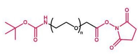 tBoc-NH-PEG-NHS NHS-PEG-Boc  叔丁氧羰基聚乙二醇活性酯
