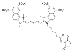 Sulfo Cy5.5 NHS ester；Sulfo-Cy5.5琥珀酰亚胺酯