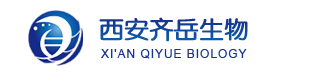 QQ截图20240205101102.png