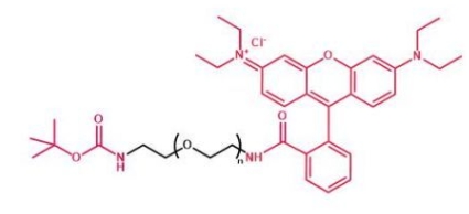  Boc-NH-PEG-RB Boc-NH-PEG-Rhodamine B  叔丁氧羰基聚乙二醇罗丹明