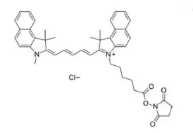 CY5.5 NHS；1469277-96-0；CY5.5琥珀酰亚胺脂 