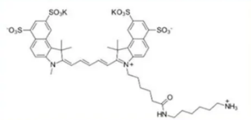 Sulfo CY5.5 NH2；磺酸化CY5.5氨基；sulfo-Cy5.5 amine