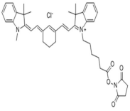 酯溶CY7-NHS;1603861-95-5;磺酸基CY7 琥珀酰亚胺酯