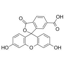6-FAM；3301-79-9；6-羧基荧光素