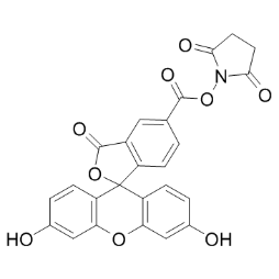 FITC-NHS  5-fam-nhs  5-羧基荧光素活性酯