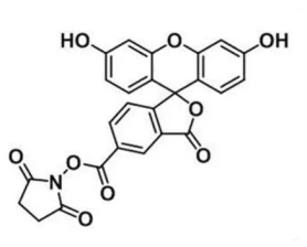 FAM-NHS； 92557-80-7；5-羧基荧光素活性酯