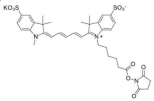 酯溶CY5 NH2；花菁染料CY5标记氨基；脂溶CY5-amine