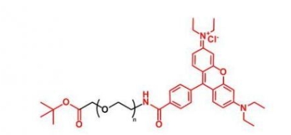 RB-PEG-COOtBu  罗丹明聚乙二醇叔丁酯
