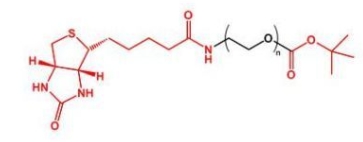 tBuCOO-PEG-Biotin  叔丁酯聚乙二醇生物素