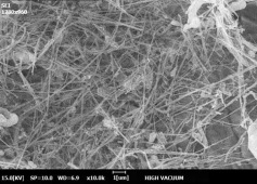 六方氮化硼纳米片1um；Boron nitride nanoplates
