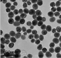 纳米钛颗粒 小于100纳米；球形纳米钛粉