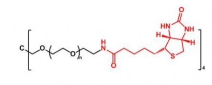 4ARM-PEG-Biotin 4ARM-PEG-BN  四臂聚乙二醇生物素