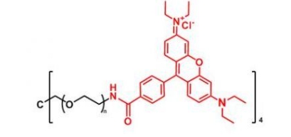  4ARM-PEG-Rhodamine 4ARM-PEG-RB  四臂聚乙二醇罗丹明