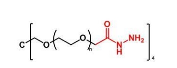 4Arm-PEG-Hydrazide   四臂聚乙二醇酰肼  PEG衍生物 