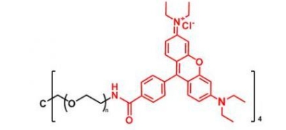  4ARM-PEG-Rhodamine 4ARM-PEG-RB  四臂聚乙二醇罗丹明 