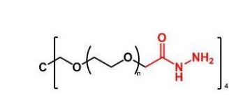 4Arm-PEG-Hydrazide  四臂聚乙二醇酰肼  PEG衍生物